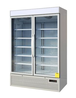 Commercial Reach In Freezer Double Glass Door With Secop Compressor for Ice Cream Display
